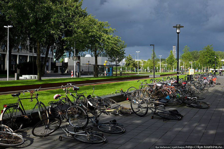 Велосипеды. Многие велосипеды явно брошенные. Интересно, есть ли в Нидерландах какие-нибудь правила утилизации бесхозных велосипедов?