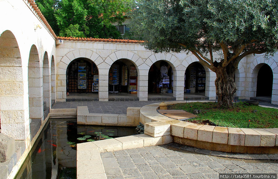 В центре двора есть клумба на которой растёт оливковое дерево. Табха (Нагорная Проповедь), Израиль