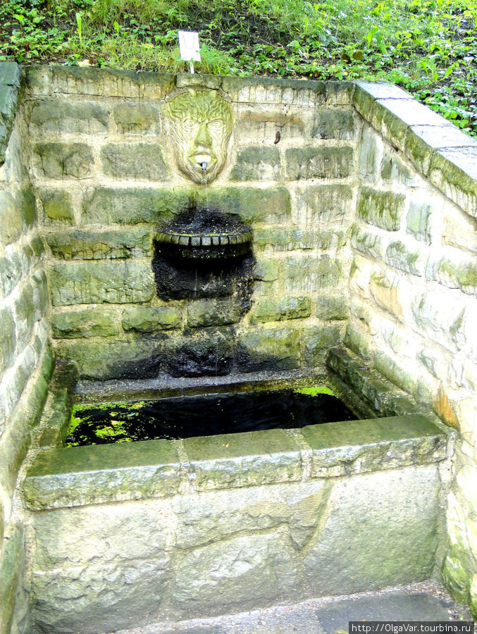 Оригинальный источник, из которого льется вполне питьевая вода Прага, Чехия