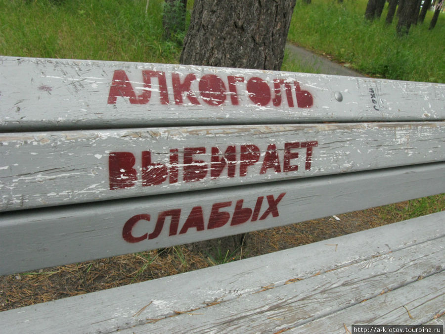 Сургутские таблички, надписи и вывески Сургут, Россия