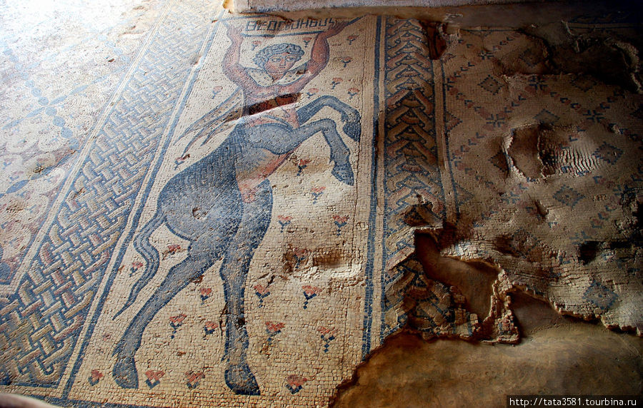 Ципори — древняя столица Галилеи. Античные мозаики. Ципори, Израиль