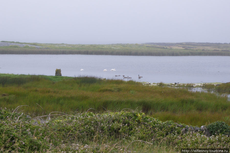 Инишмор - остров, где говорят по-ирландски Остров Инишмор, Ирландия
