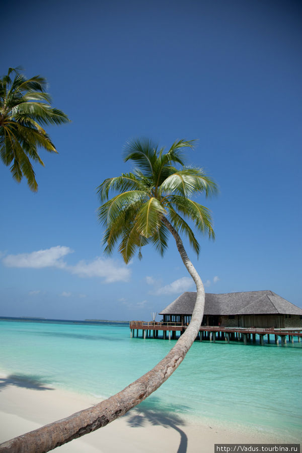 Кругом вода.... Мальдивские острова