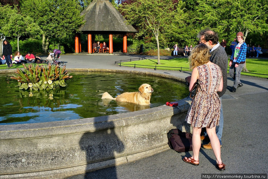 В парке St. Stephen’s Green. Собачий день ВДВ... :)) Дублин, Ирландия