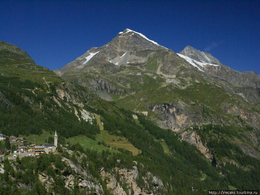 Эдельвейсы перевала Col de l'Iseran Валь-д'Изер, Франция