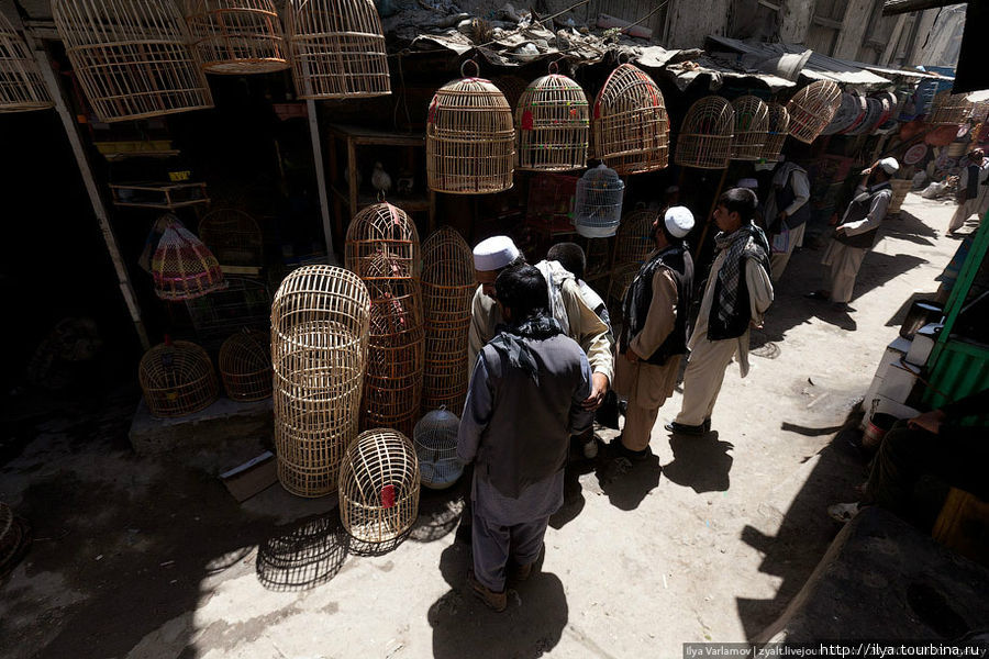 Знаменитый птичий рынок. Чего тут только нет! Кабул, Афганистан