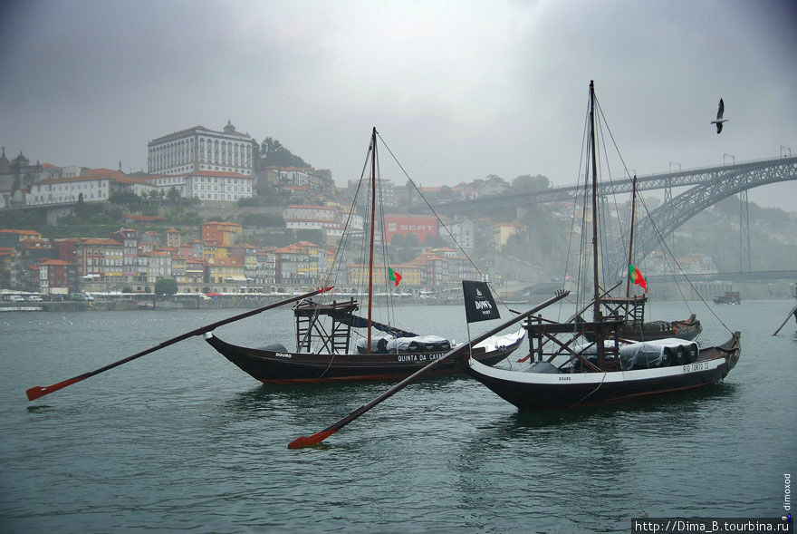 Туман и портвейн Порту, Португалия