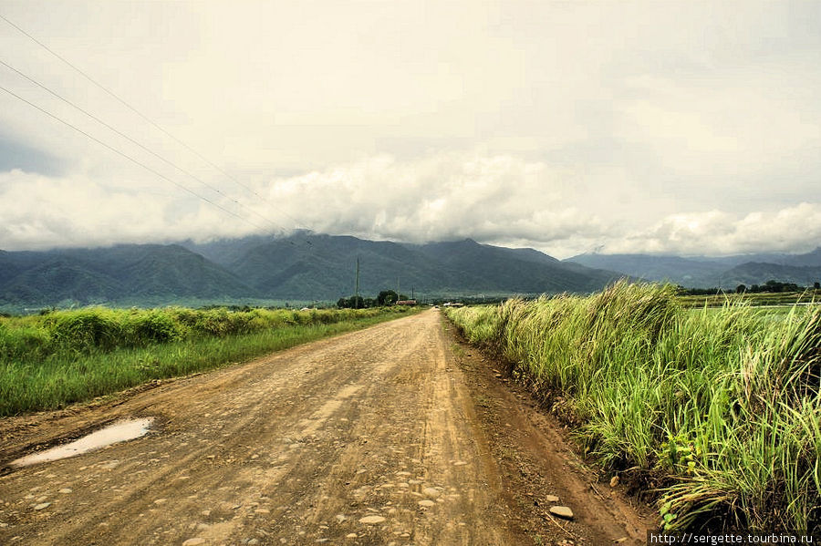 Дорога вдоль рисовых полей Остров Палаван, Филиппины