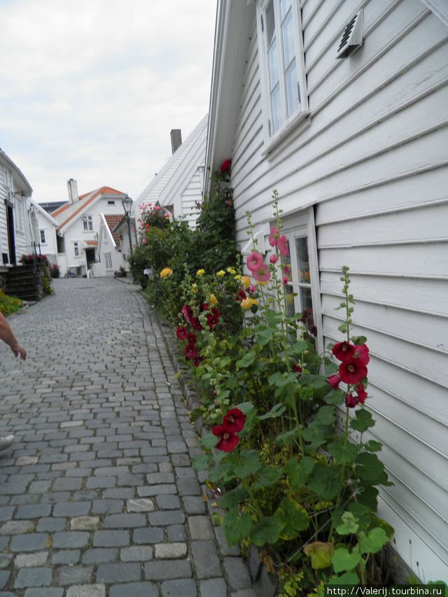 Улочки Ставангера или от рыбы к флористике Ставангер, Норвегия