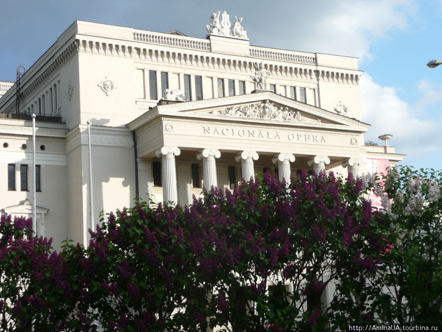 цветение сирени в Риге Рига, Латвия цветение сирени в Риге Рига, Латвия