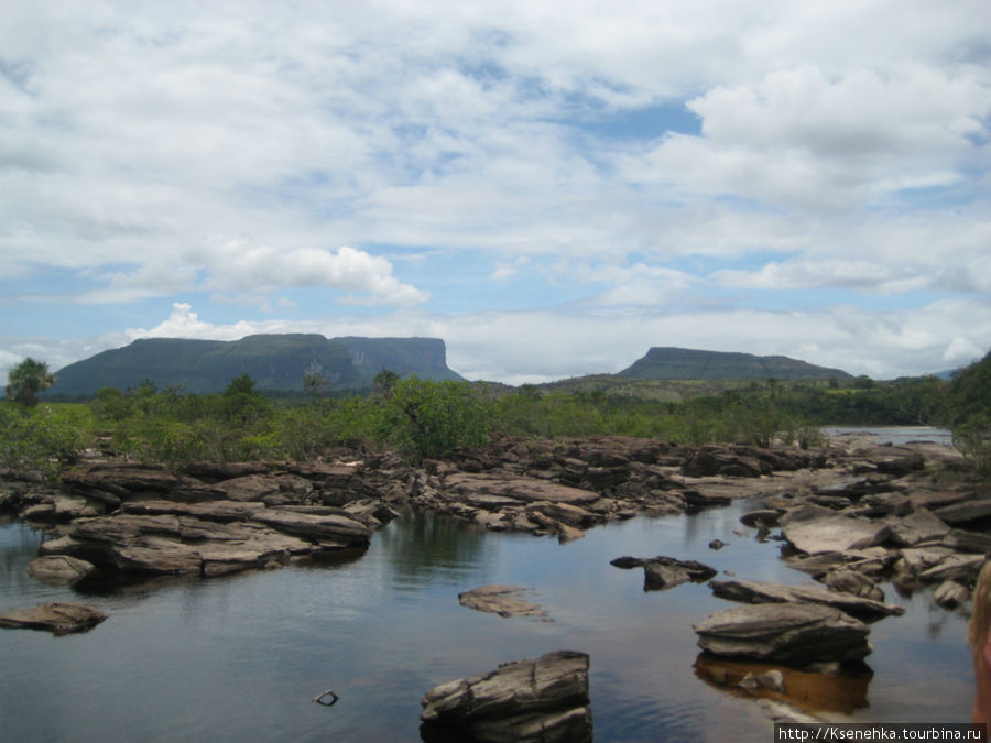 Путешествие в Дельту реки Ориноко Венесуэла