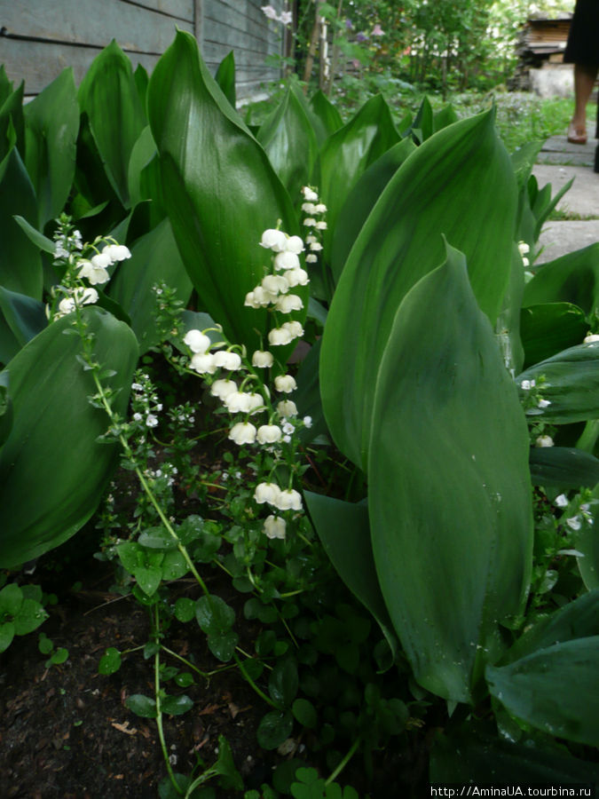 Встретимся в Риге Рига, Латвия Встретимся в Риге Рига, Латвия