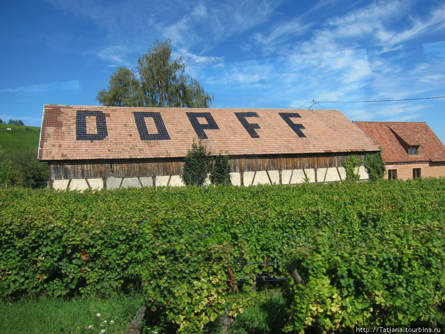 хранилище винодельни семьи DOPF Рикевир, Франция