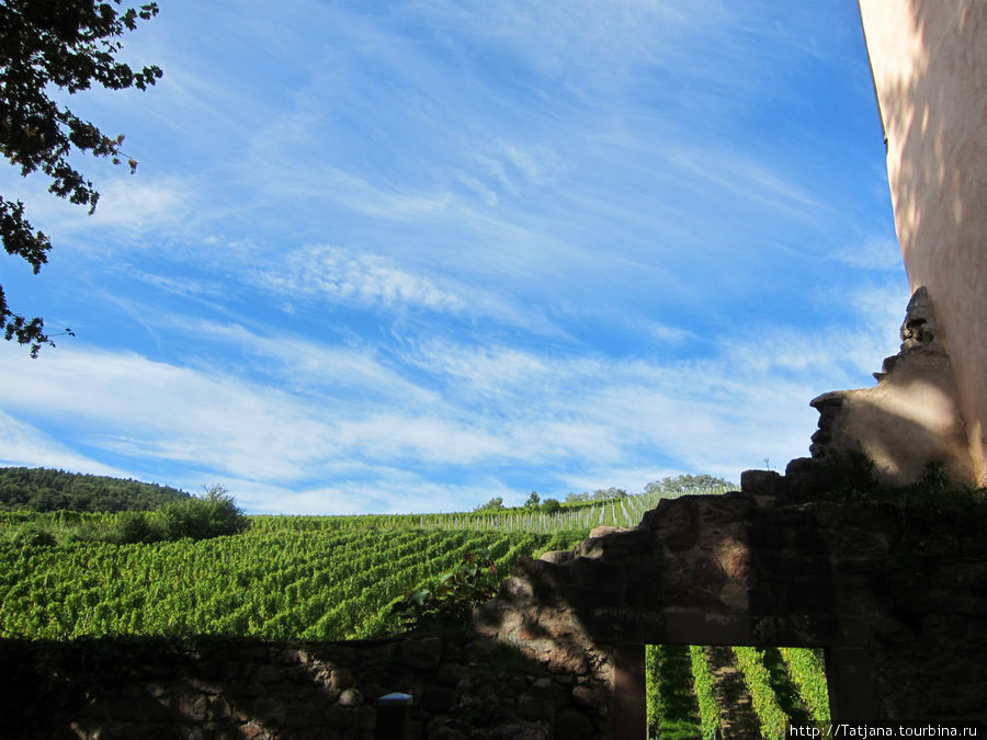 Элзаские вина и одна из самых красивых деревень Франции. Рикевир, Франция