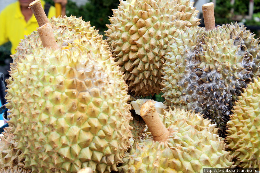 А вот так выглядит самый знаменитый фрукт Юго-Восточной Азии — дуриан Бангкок, Таиланд