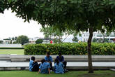 Школьники отдыхают в тени дерева