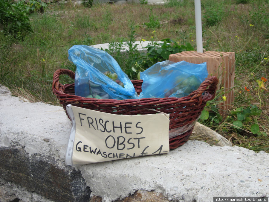 Пакеты с фруктами — помыты, продаются за 1 евро. Деньги оставляешь в корзинке, которая стоит прямо на дороге.