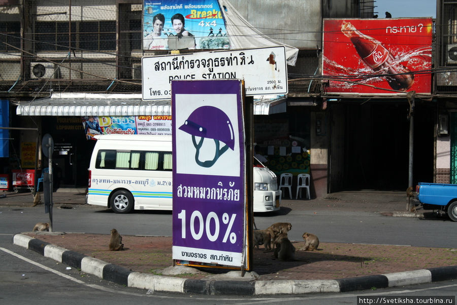 Лопбури - город обезьян Лоп-Бури, Таиланд