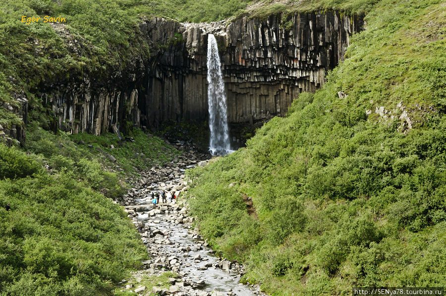 Водопад Svartifoss