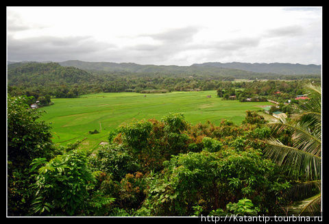 Смотровая площадка. Рисовые поля Остров Панай, Филиппины