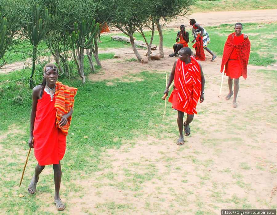 Копья давно уступили место палкам, которые выглядят как посох Масаи-Мара Национальный Парк, Кения