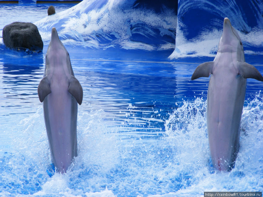 Тенерифе туристический Тенерифе туристический