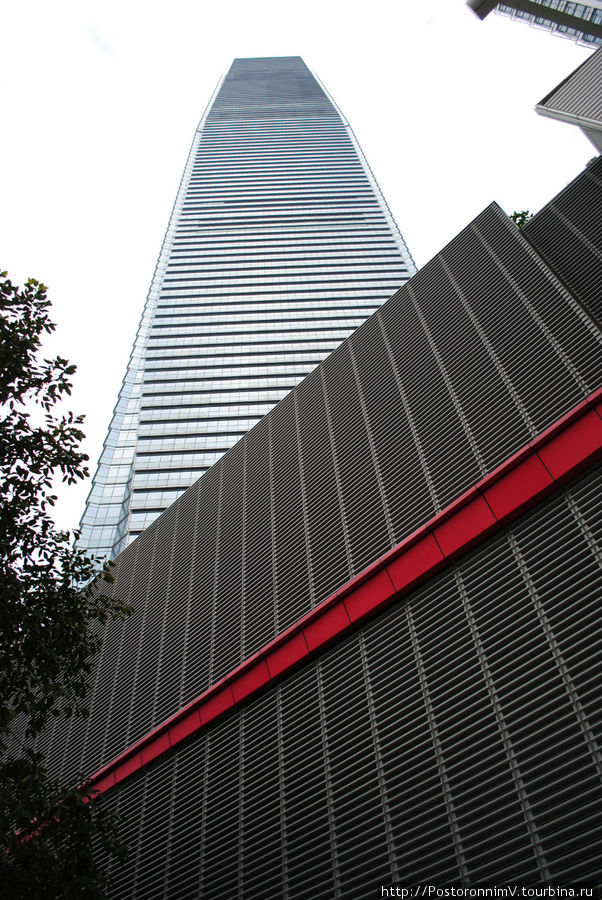 Самое высокое здание в Гонконге на сегодняшний день: International Finance Centre, 88 этажей и в высоту составляет 415 метров. Гонконг
