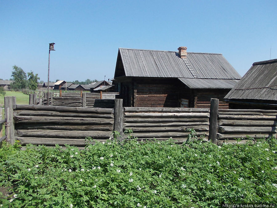 Огород, в котором копался Ленин (предположительно) Шушенское, Россия
