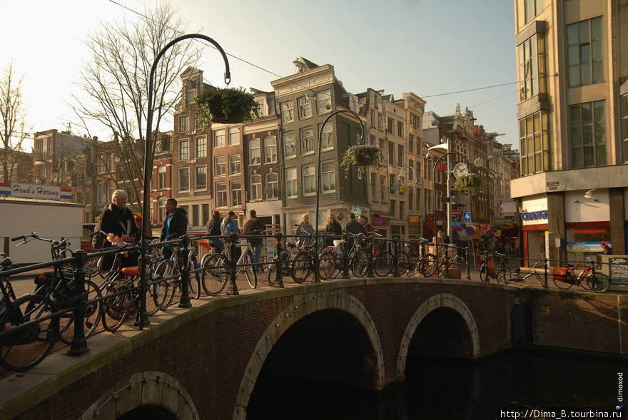 10 интересных вещей из Амстердама. Часть 2. Амстердам, Нидерланды