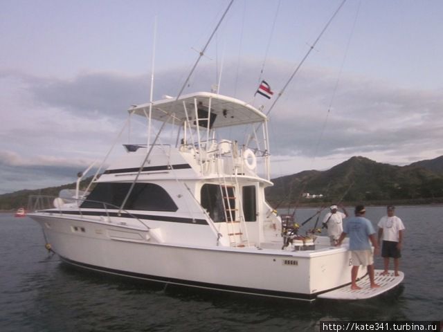 Как я провела 2011 год Как я провела 2011 год