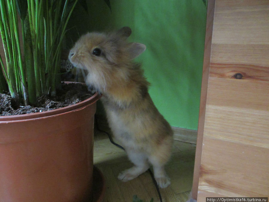 В Прагу, такую знакомую, как к себе домой Прага, Чехия В Прагу, такую знакомую, как к себе домой Прага, Чехия