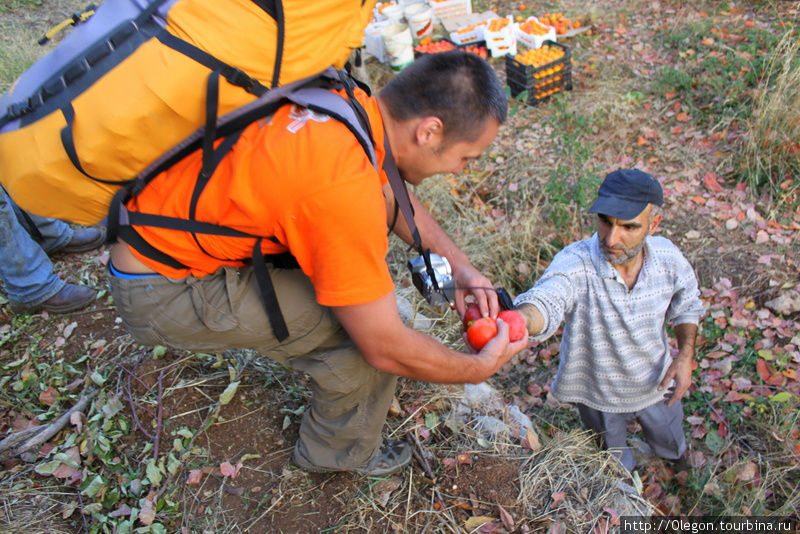 В долине Кадиша Долина Кадиша, Ливан В долине Кадиша Долина Кадиша, Ливан