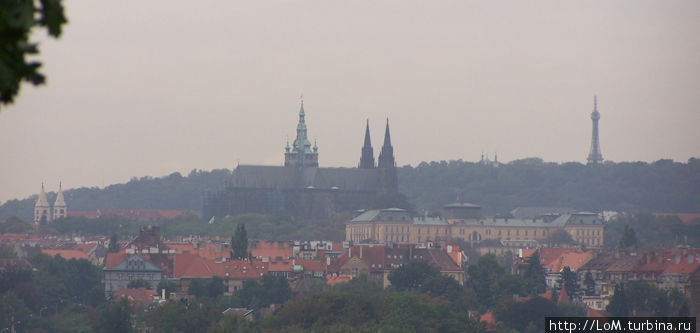 центр Праги (вид из зоопарка) центр Праги (вид из зоопарка)