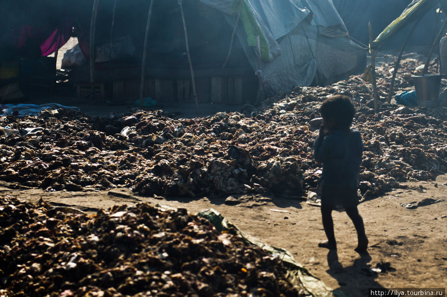 Ребенок идет между куч гниющего мяса. Лахор, Пакистан
