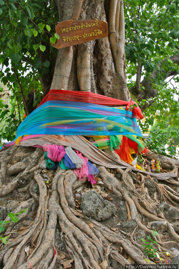 Зачем буддисты вешают ленточки на деревья? Накхон-Патом, Таиланд