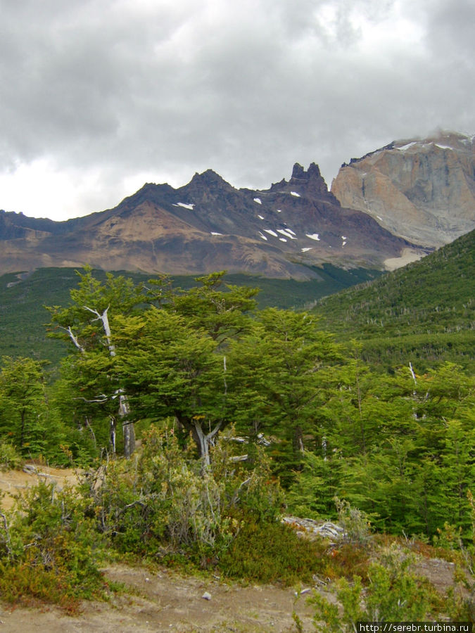 Треккинг в парке Torres Del Paine (день 3) Национальный парк Торрес-дель-Пайне, Чили