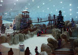 Горнолыжный комплекс Ski Dubai. Внутри -8 градусов, а снаружи +40.