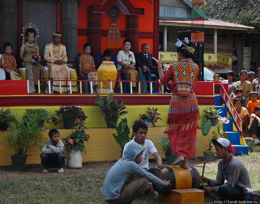 Свадьба и похороны тораджей Рантепао, Индонезия