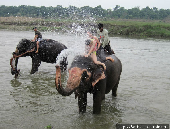 После сафари было купание слонов. Хотя на самом деле, это они купали нас — окатывали душем из хобота. Непал