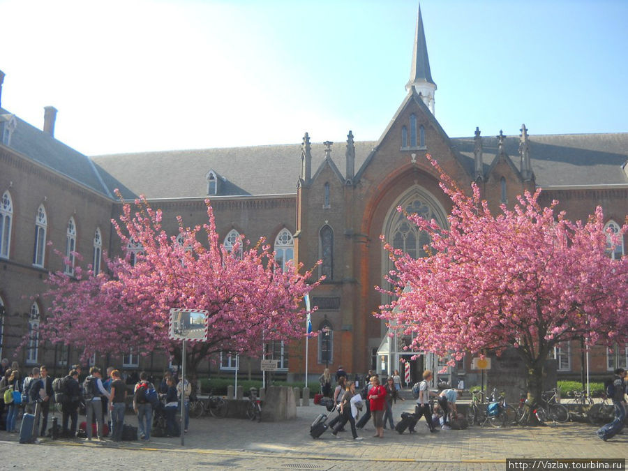Университетский кампус / Hogeschool campus Bijloke