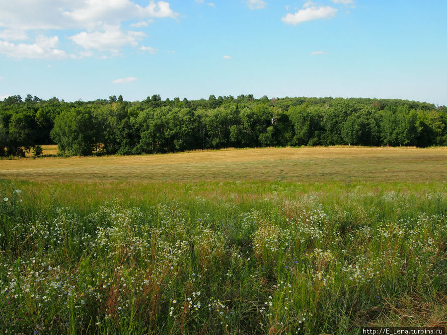 Праздник Ивана Купала в Пирогово Праздник Ивана Купала в Пирогово