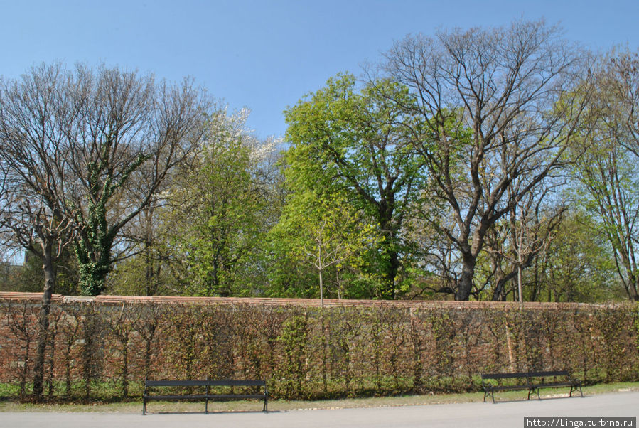 Апрель. Бельведер Вена, Австрия Апрель. Бельведер Вена, Австрия