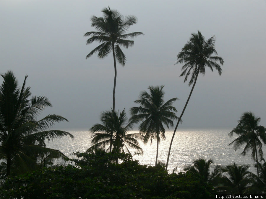 Остров на который хочется вернуться Шри-Ланка