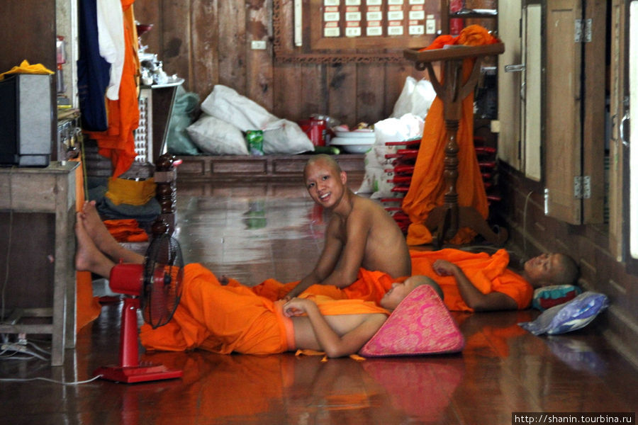 Молодые монахи Мае-Хонг-Сон, Таиланд