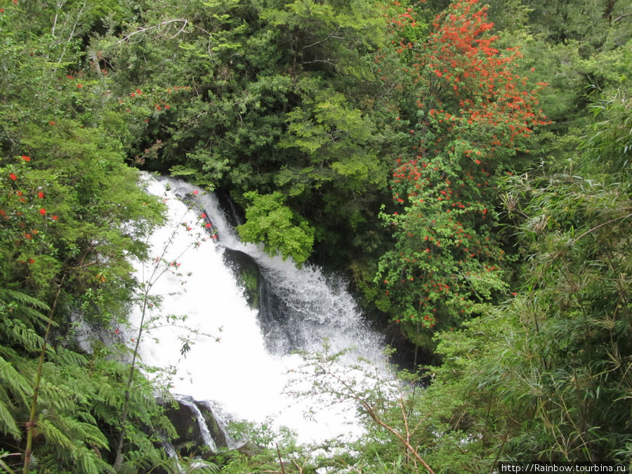 Первозданная природа парка  Пуеху Пуеуэ Национальный Парк, Чили