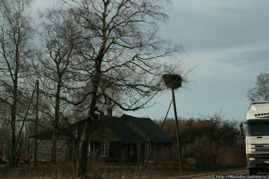 почему то гнезда аиста в изобилии присутствуют и на белорусской, и на латвийской пограничной с Россией территории, а у нас их нет, совсем! Москва, Россия почему то гнезда аиста в изобилии присутствуют и на белорусской, и на латвийской пограничной с Россией территории, а у нас их нет, совсем! Москва, Россия