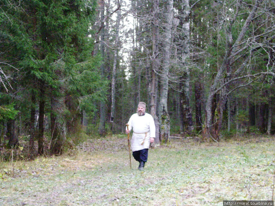 На лесной тропе показался мужик в белой рубахе-косоворотке с посохом в руке