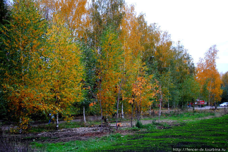 Зеленый, желтый, красный: золотая осень в Татарстане Казань, Россия
