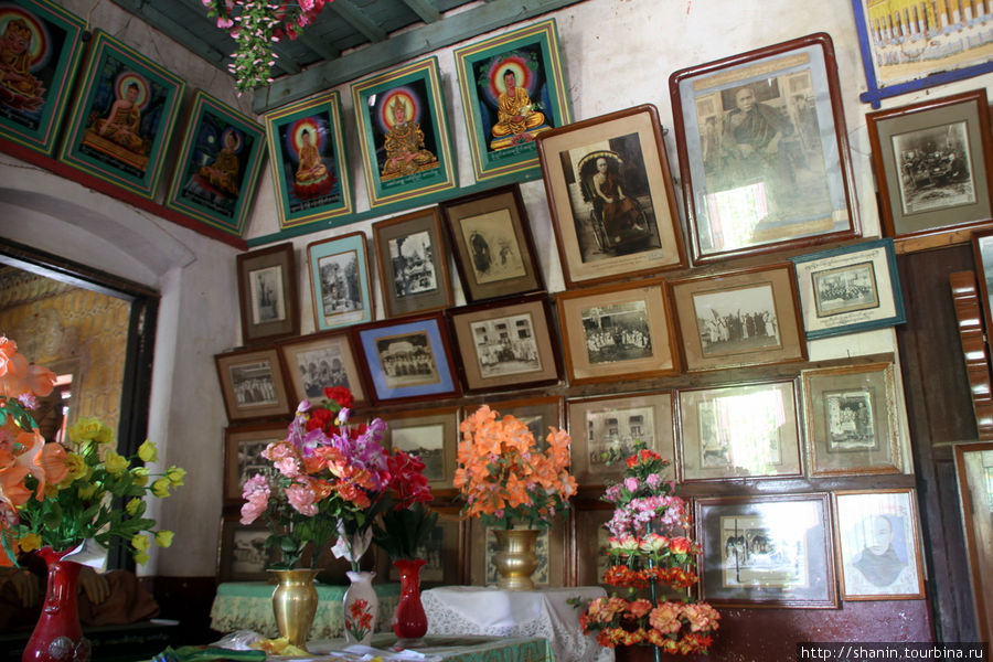 Фотографии на стене музея Монива, Мьянма