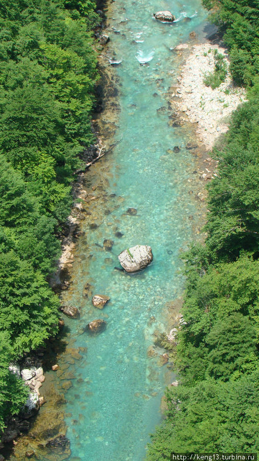 Воды реки ясны и прозрачны. Национальный парк Дурмитор, Черногория